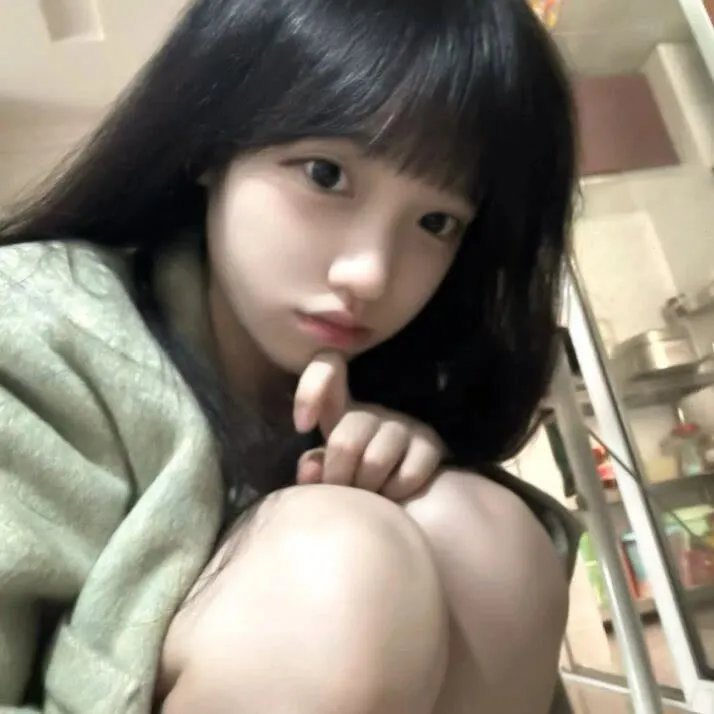 小狮王守护队：狮王再起