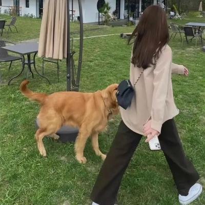 地上最炯新娘